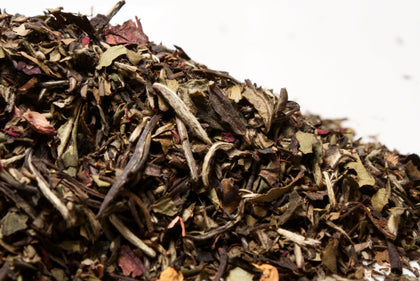 Rah Rah Rooibos!