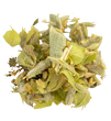 Bergamot Sage