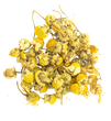 Egyptian Chamomile